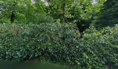 Image de Toiture Dubois Sprl